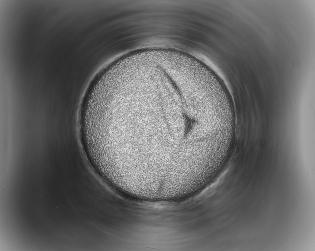 X0000088021045200706081437