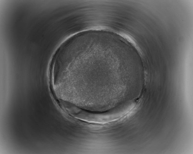 X0000088021046200706081437