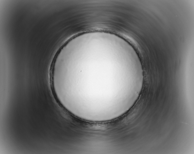 X0000088021047200706081437