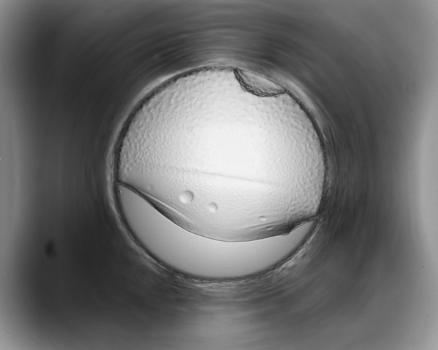 X0000088021048200706081437