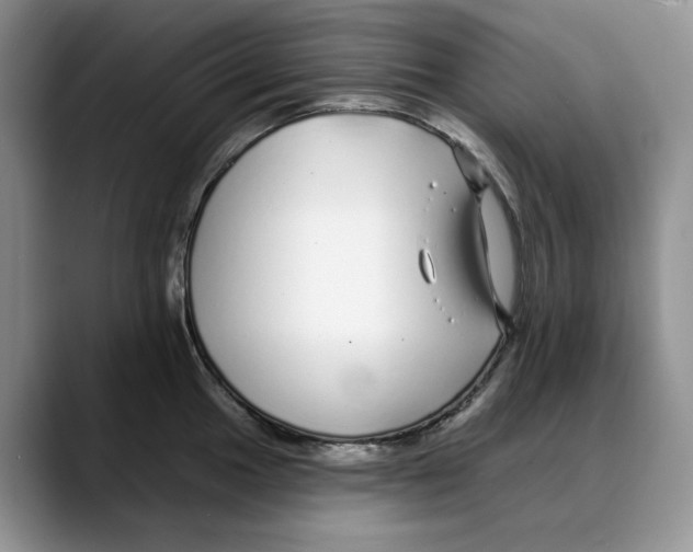 X0000088021049200706081437