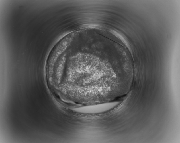 X0000088021050200706081437