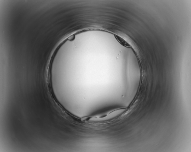 X0000088021052200706081437