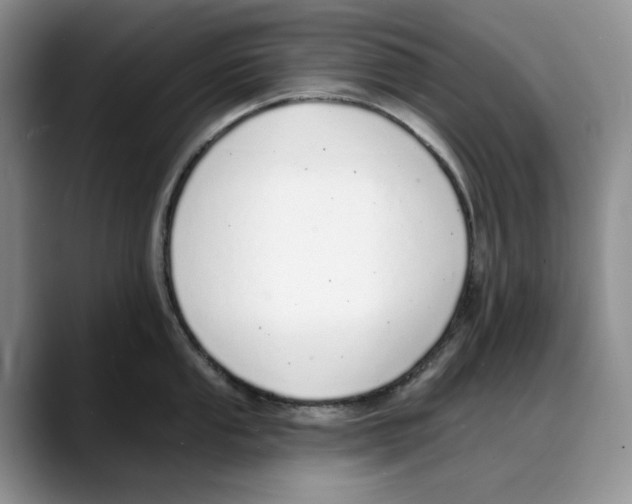 X0000088021053200706081437
