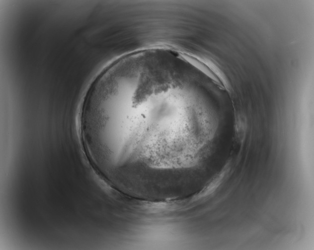 X0000088021054200706081437