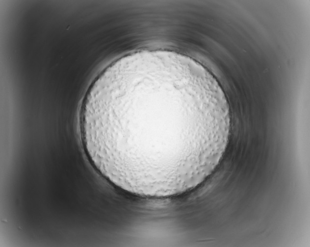 X0000088021055200706081437