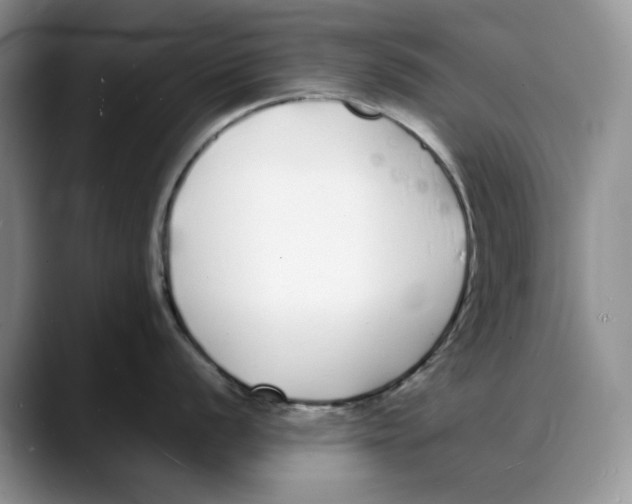 X0000088021056200706081437