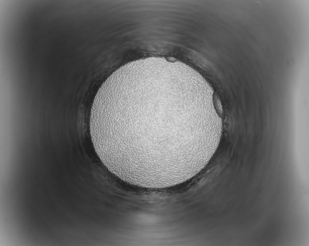 X0000088021058200706081437