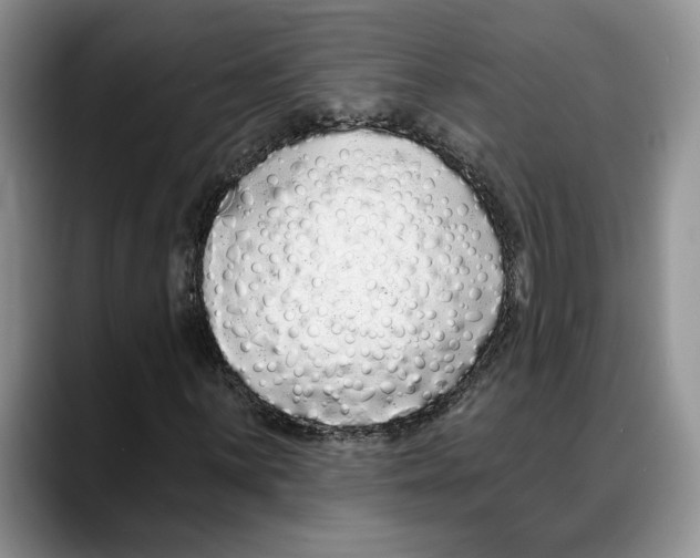 X0000088021059200706081437