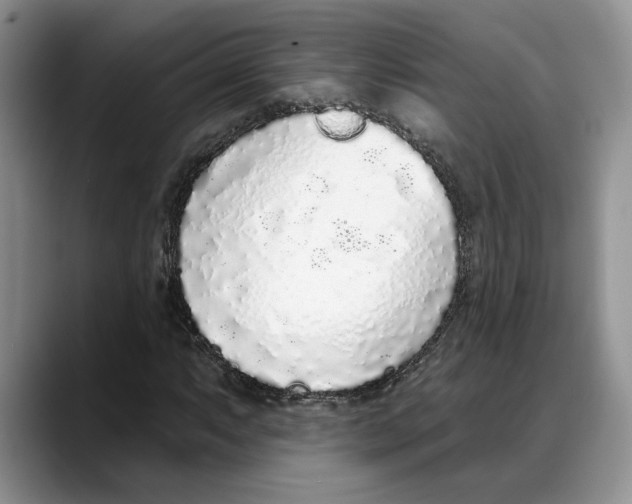 X0000088021063200706081437