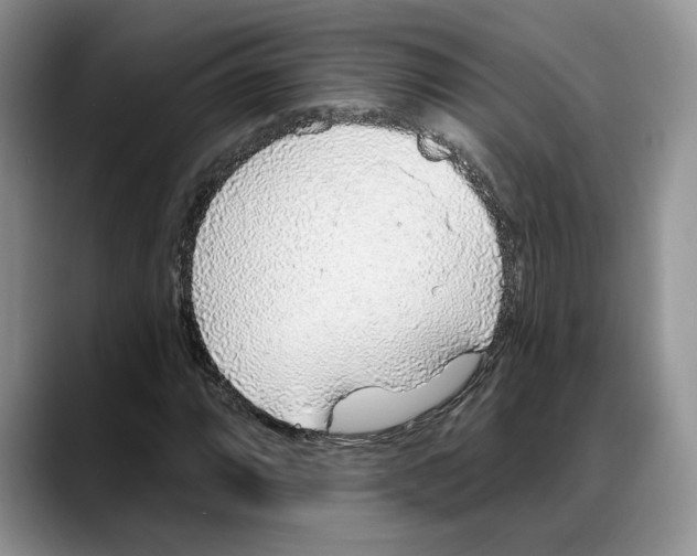 X0000088021064200706081437