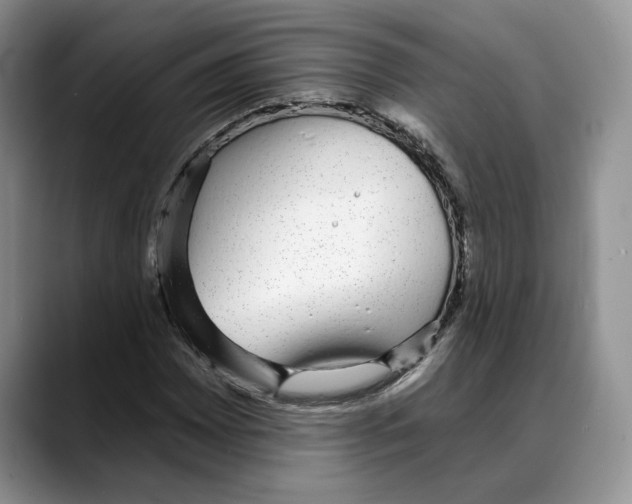 X0000088021065200706081437