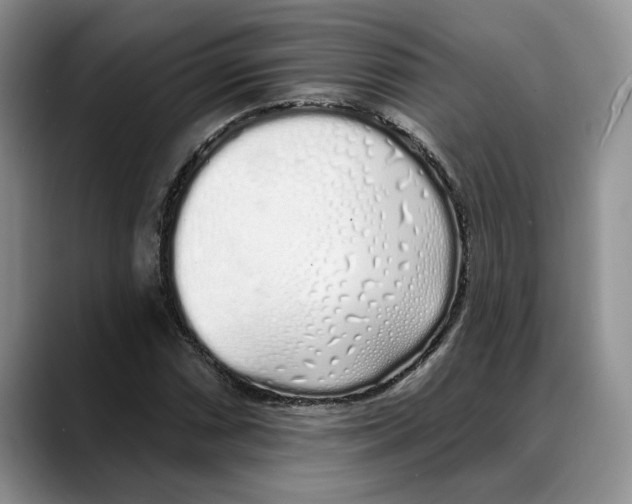 X0000088021066200706081437