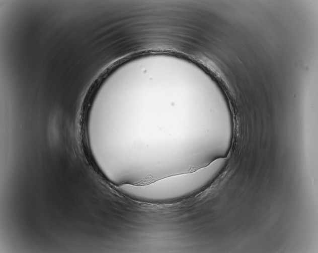 X0000088021068200706081437