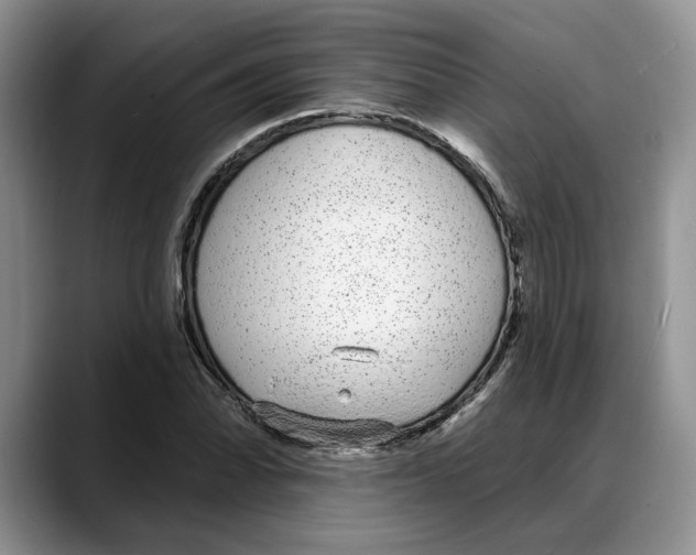 X0000088021070200706081437