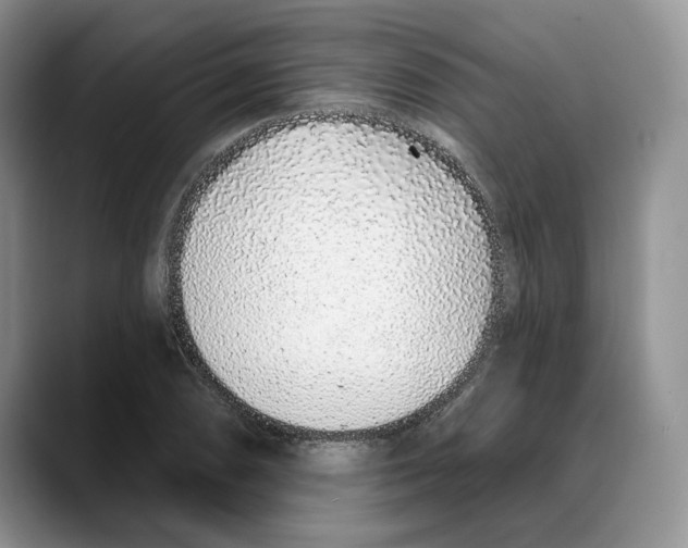 X0000088021074200706081436
