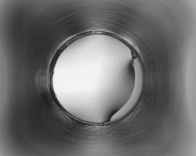 X0000088021076200706081436