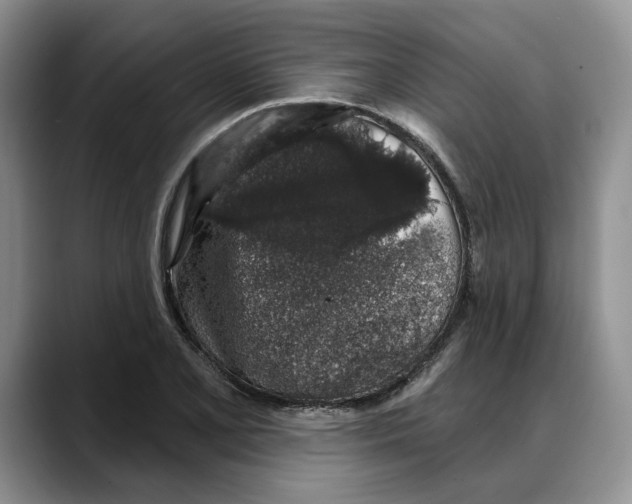 X0000088021077200706081436