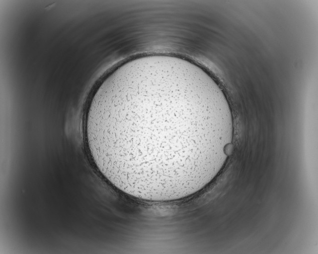 X0000088021078200706081436