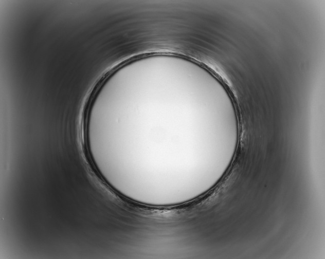 X0000088021080200706081436