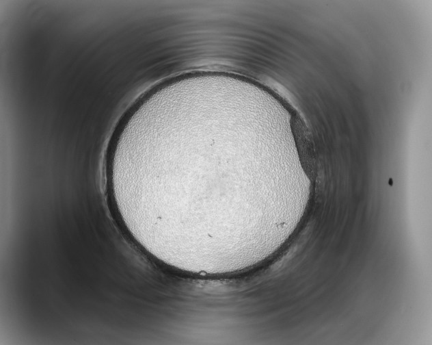 X0000088021082200706081436