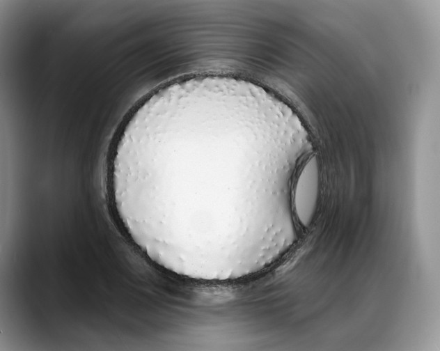 X0000088021083200706081436