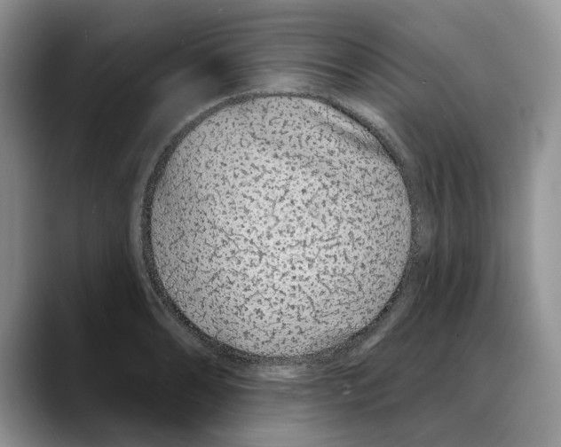 X0000088021086200706081436