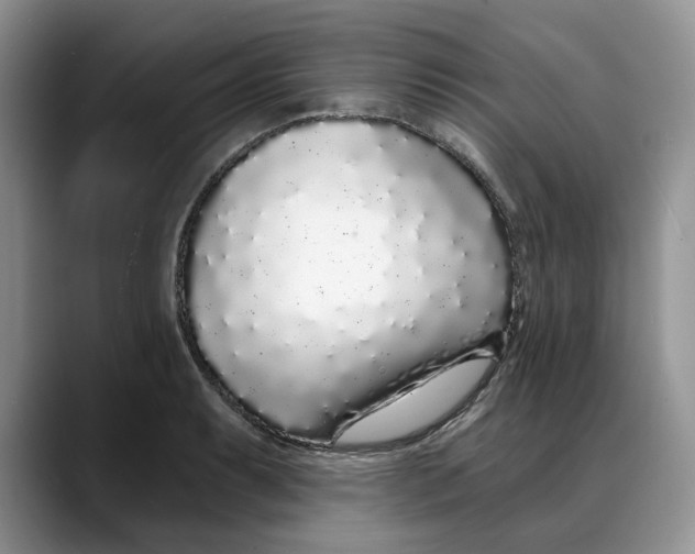 X0000088021087200706081436