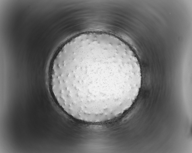 X0000088021088200706081436