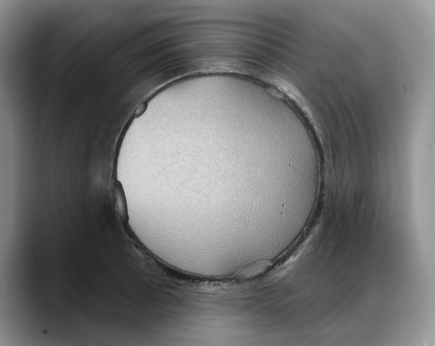 X0000088021089200706081436