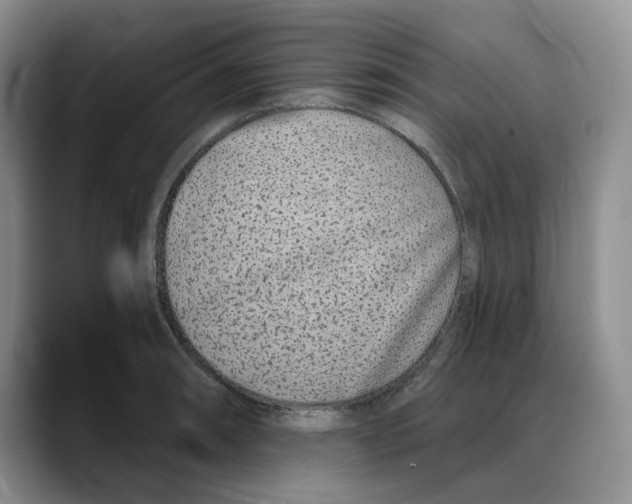 X0000088021090200706081436