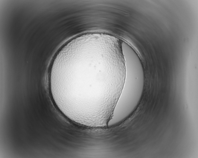 X0000088021092200706081436