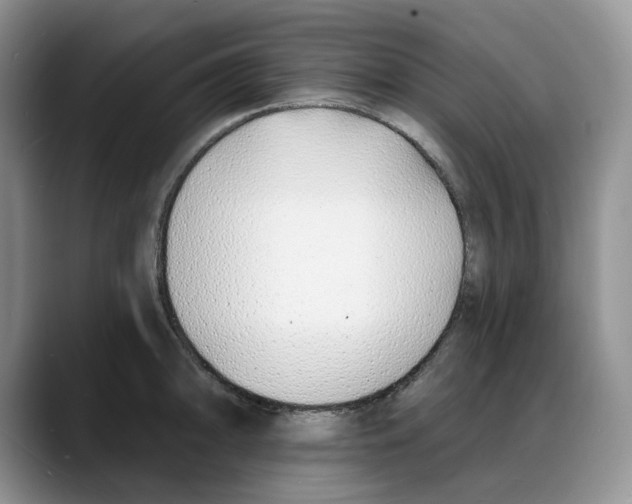 X0000088021094200706081436