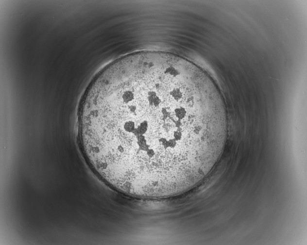 X0000088021095200706081436