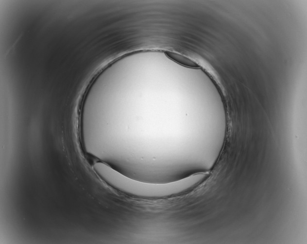 X0000088021096200706081436