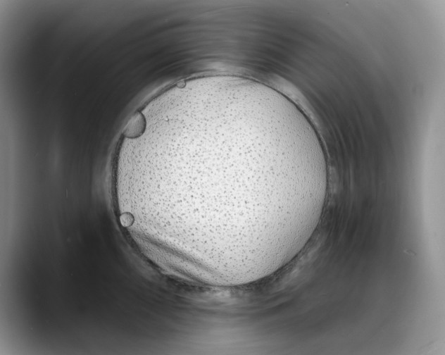 X0000088021098200706081436