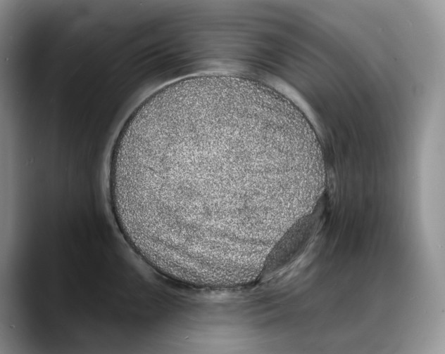 X0000088021099200706081436