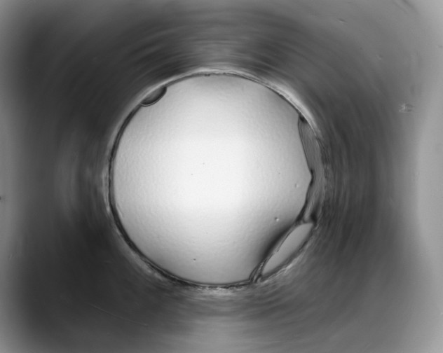 X0000088021100200706081436