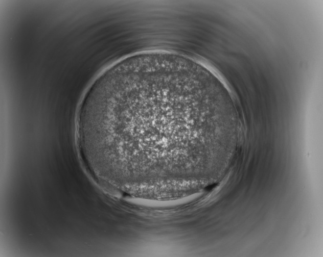 X0000088021101200706081436