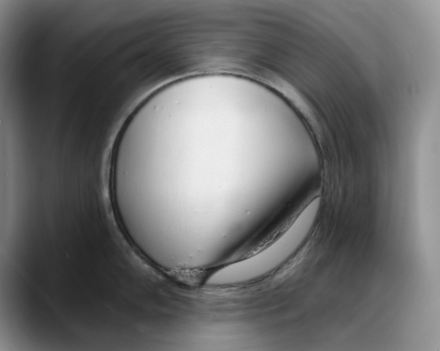 X0000088021102200706081436