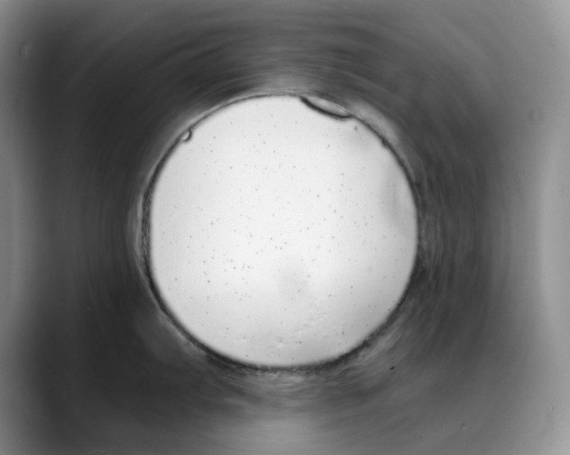 X0000088021103200706081436