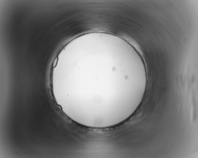 X0000088021104200706081436