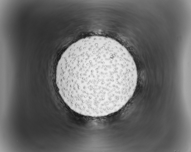 X0000088021105200706081435