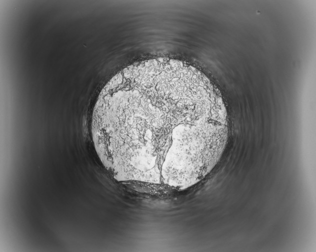 X0000088021106200706081435