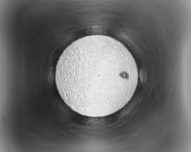 X0000088021107200706081435