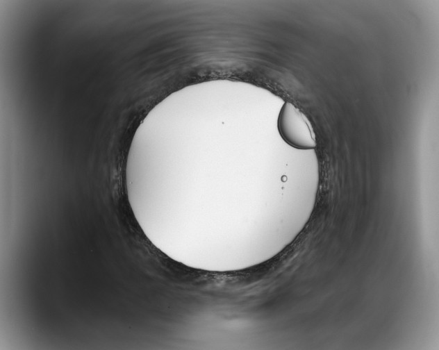 X0000088021109200706081436