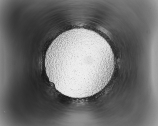 X0000088021111200706081436