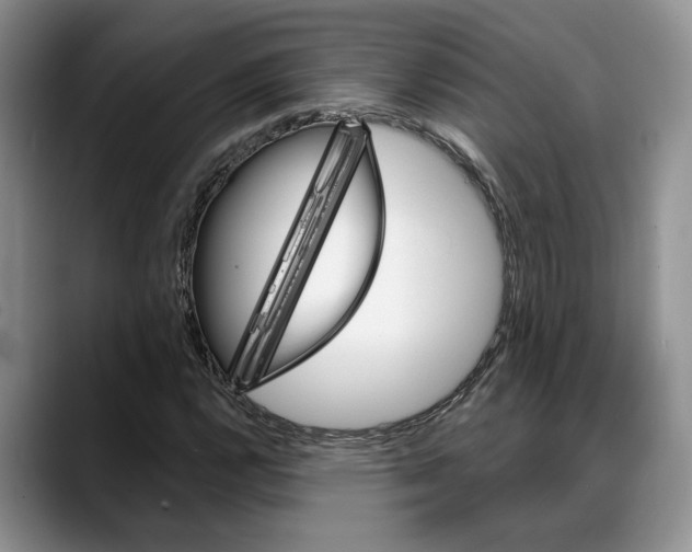 X0000088021112200706081436