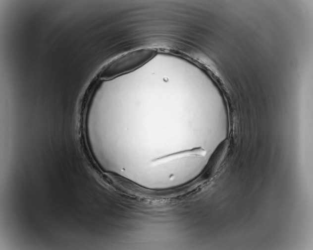 X0000088021116200706081436