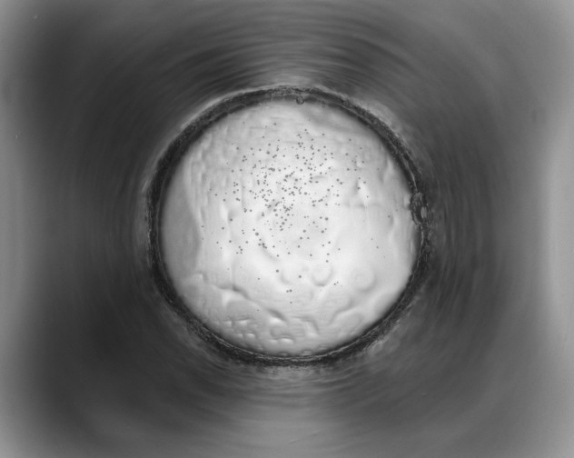 X0000088021118200706081436